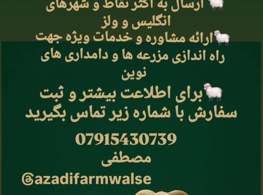 اولين دامدارى ايرانى انگلستان – ولز (سوانزی)
